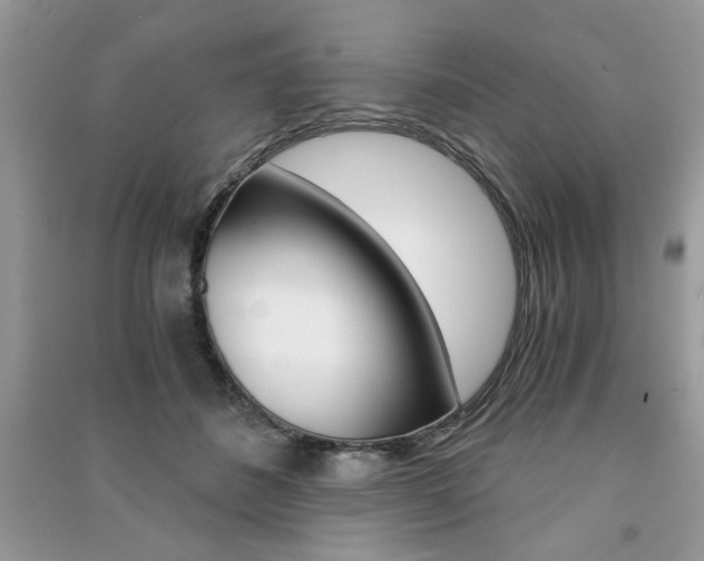 X0000091180508200708091048