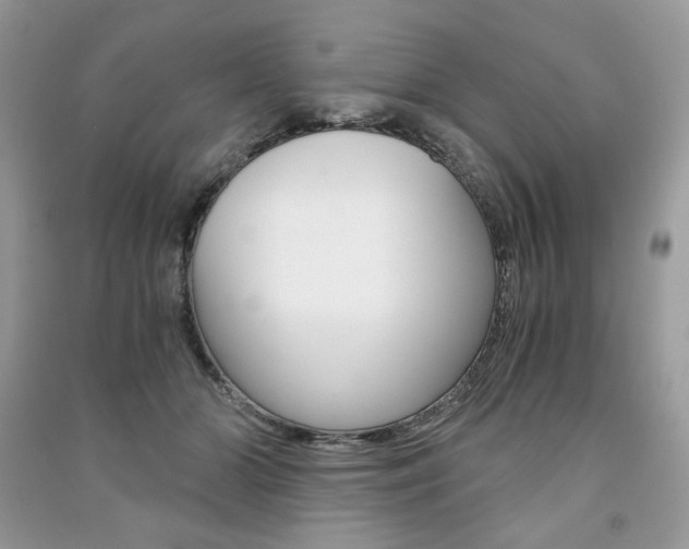 X0000091180510200708091048