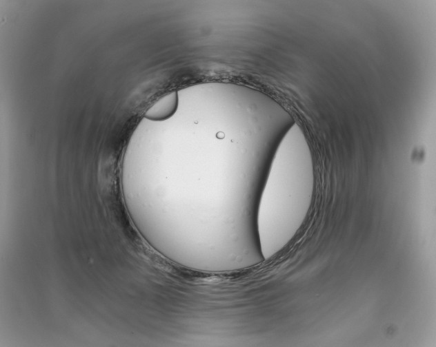 X0000091180511200708091048