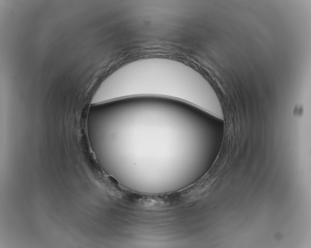 X0000091180512200708091048