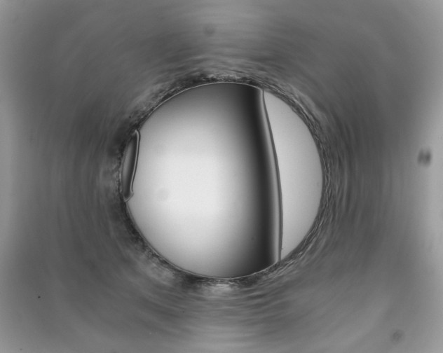 X0000091180513200708091048