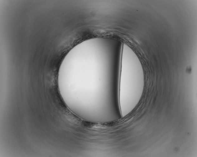 X0000091180515200708091048