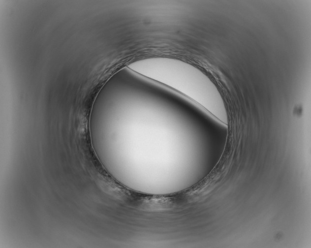 X0000091180517200708091048