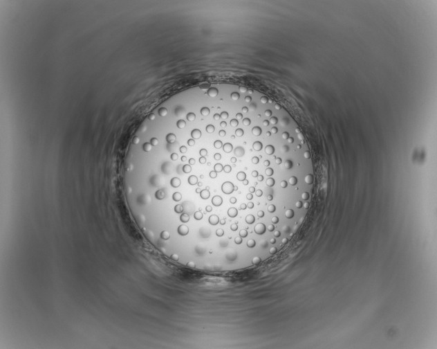 X0000091180519200708091048