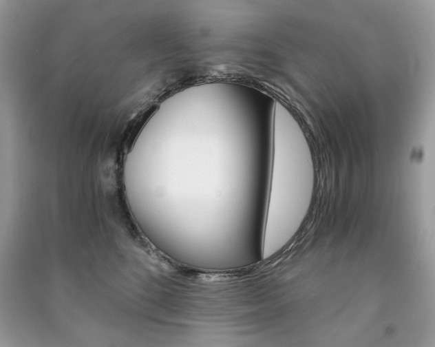 X0000091180520200708091048