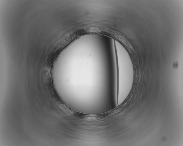 X0000091180521200708091048