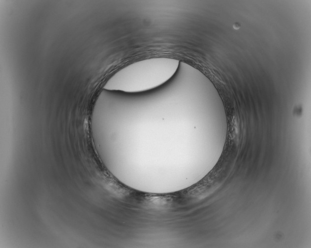 X0000091180522200708091048