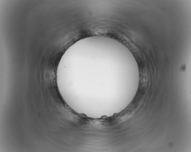 X0000091180523200708091048