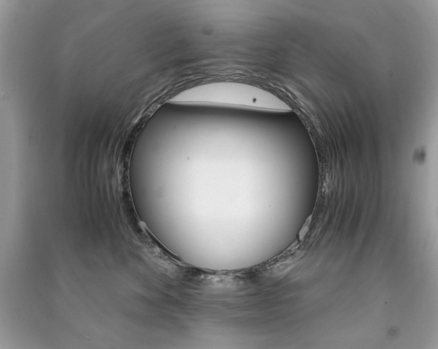 X0000091180524200708091048