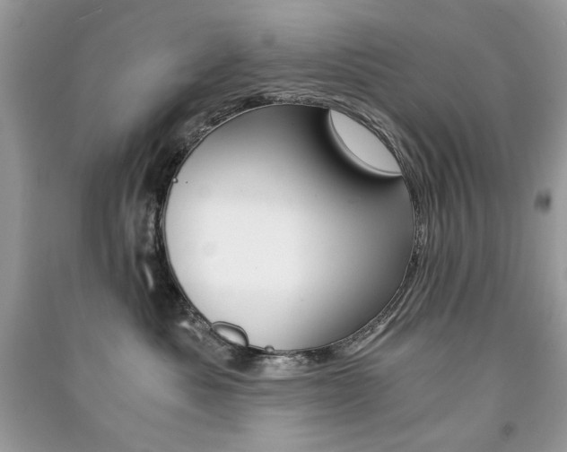 X0000091180525200708091048