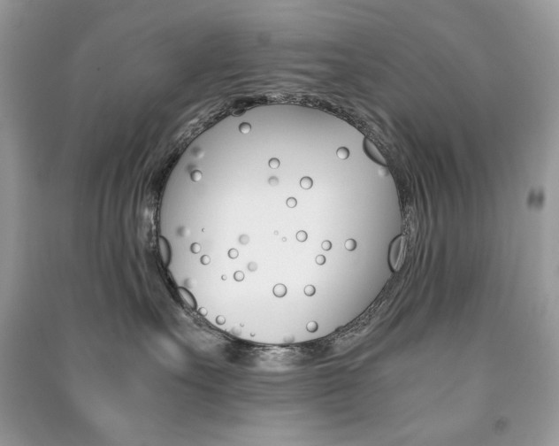 X0000091180527200708091048