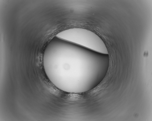 X0000091180528200708091048