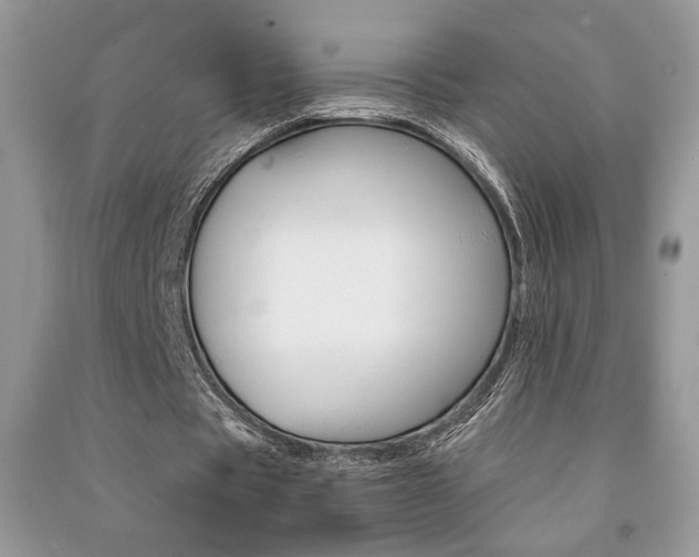 X0000091180529200708091048