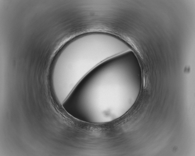 X0000091180531200708091048