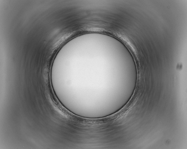 X0000091180533200708091048