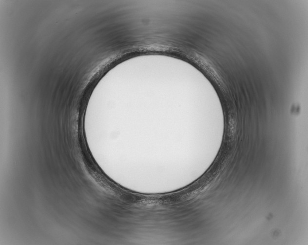 X0000091180534200708091048