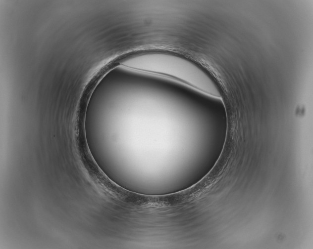 X0000091180536200708091048