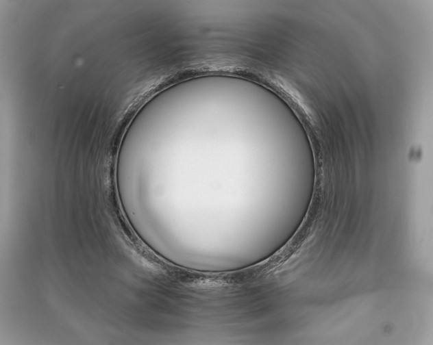 X0000091180537200708091048