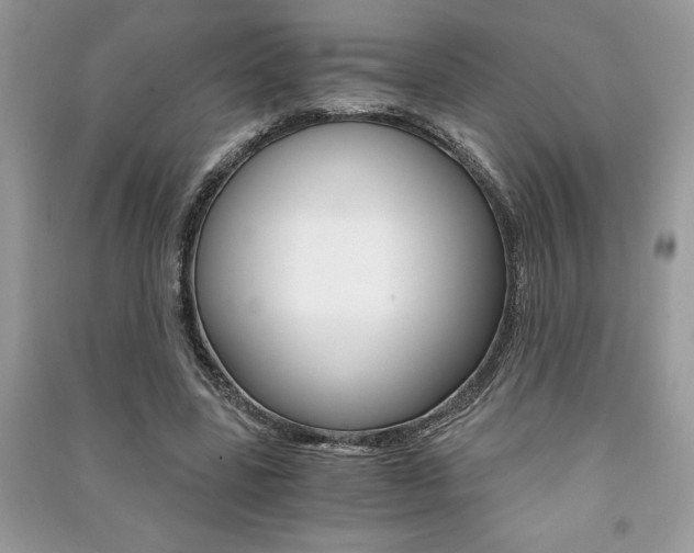 X0000091180539200708091048