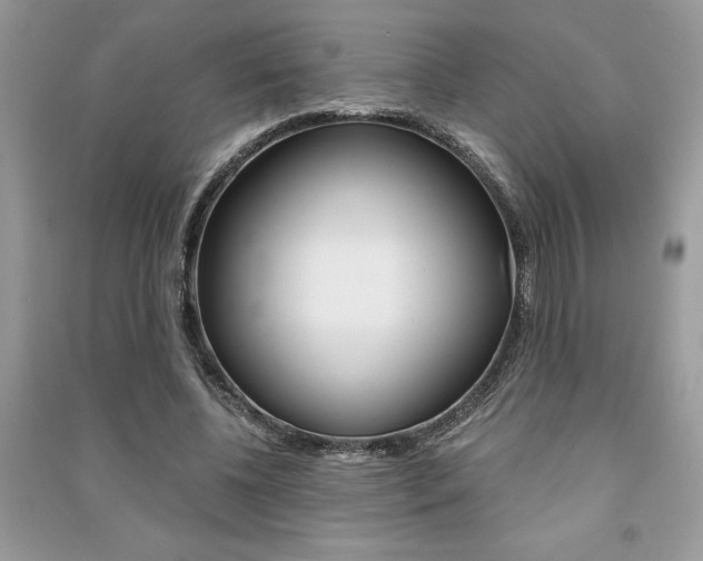 X0000091180540200708091048