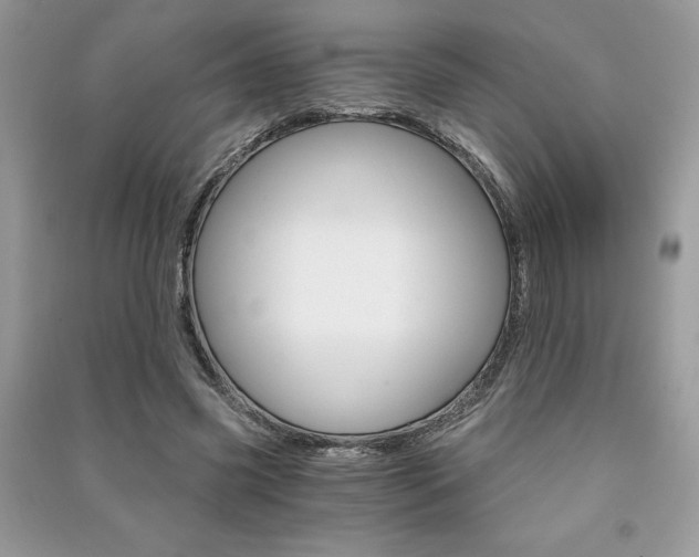 X0000091180541200708091048