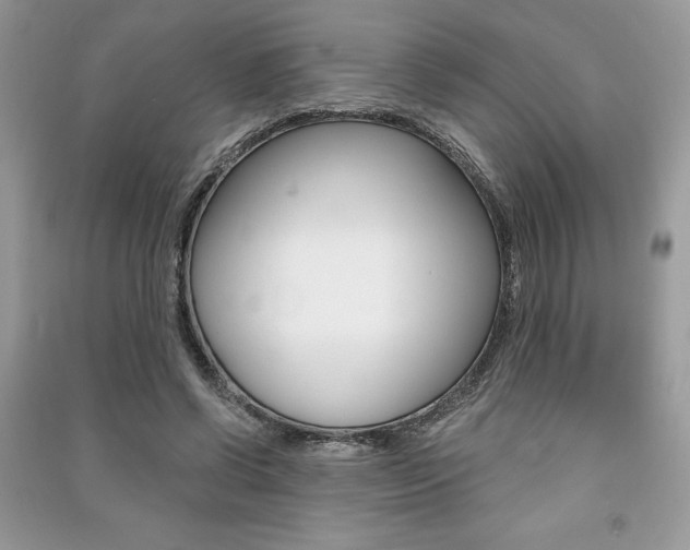 X0000091180542200708091048