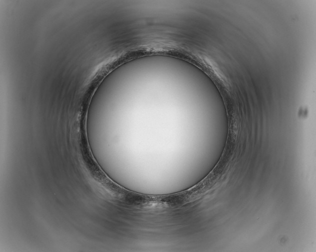 X0000091180543200708091048