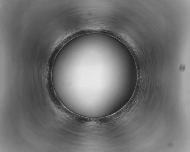 X0000091180544200708091048