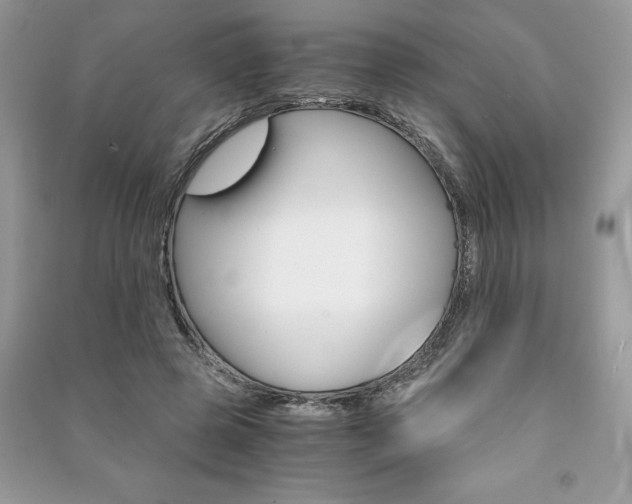 X0000091180545200708091048