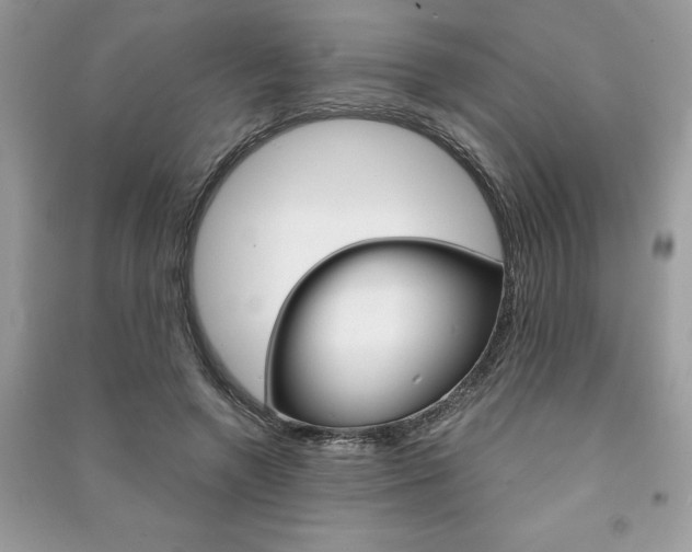 X0000091180546200708091048