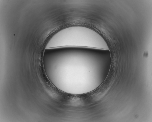 X0000091180547200708091048
