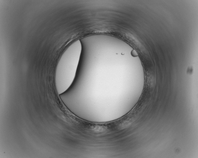 X0000091180549200708091048
