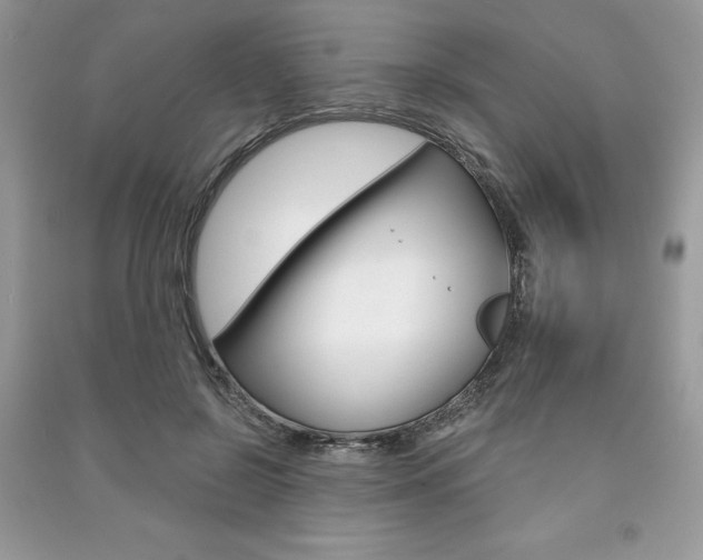 X0000091180550200708091048