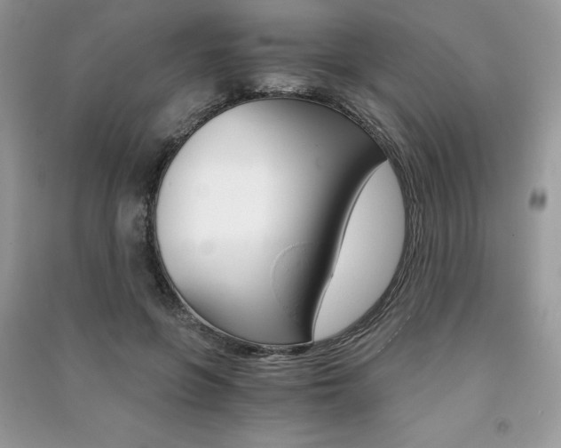 X0000091180551200708091048