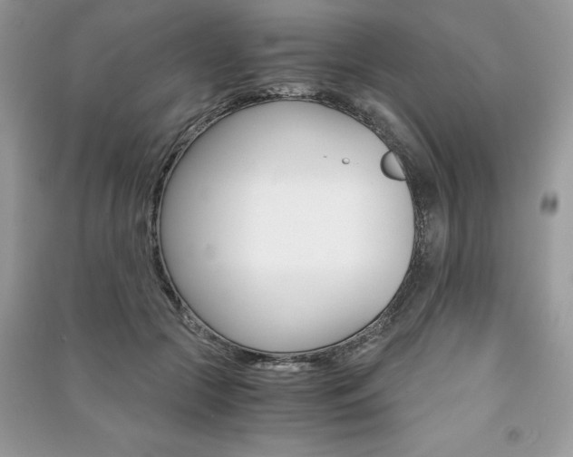 X0000091180553200708091048