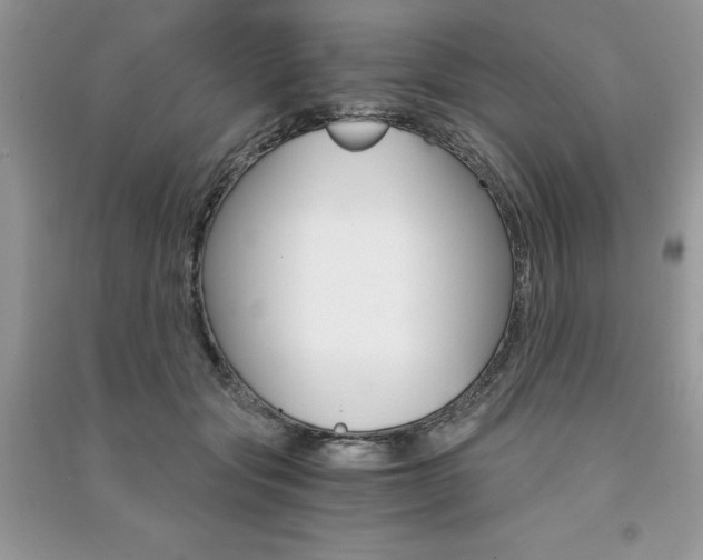 X0000091180557200708091048