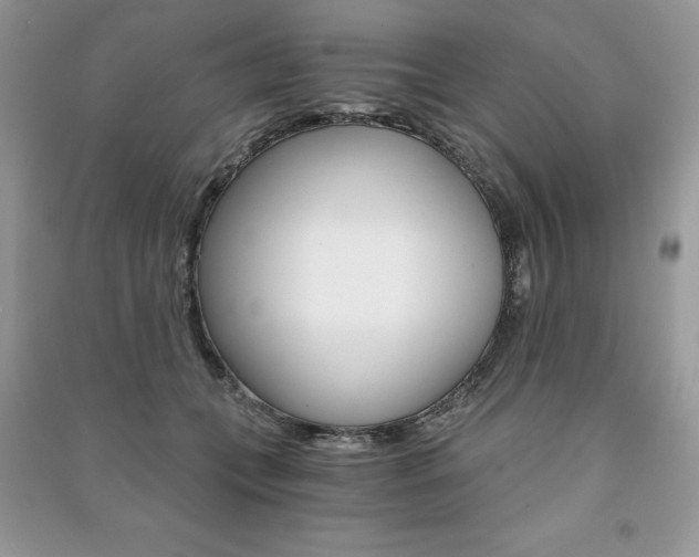 X0000091180559200708091048