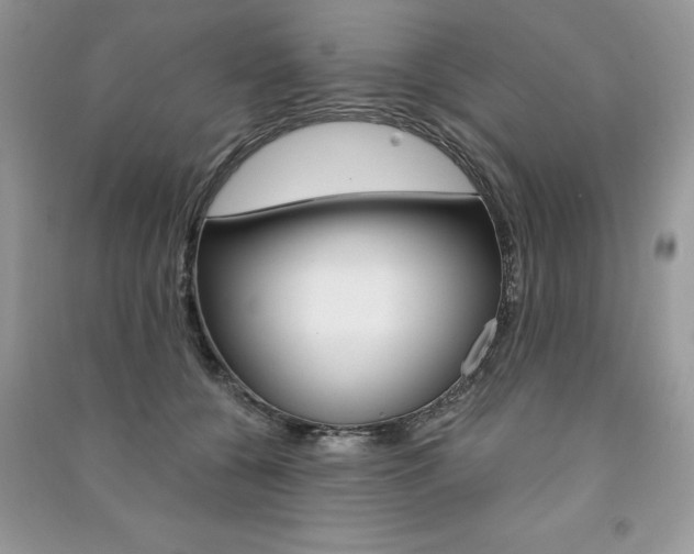 X0000091180560200708091048