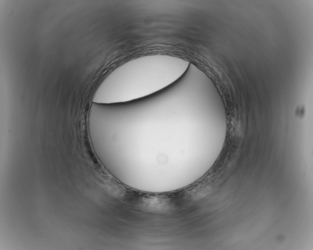 X0000091180561200708091048