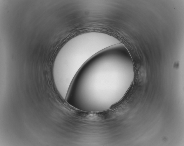 X0000091180562200708091048