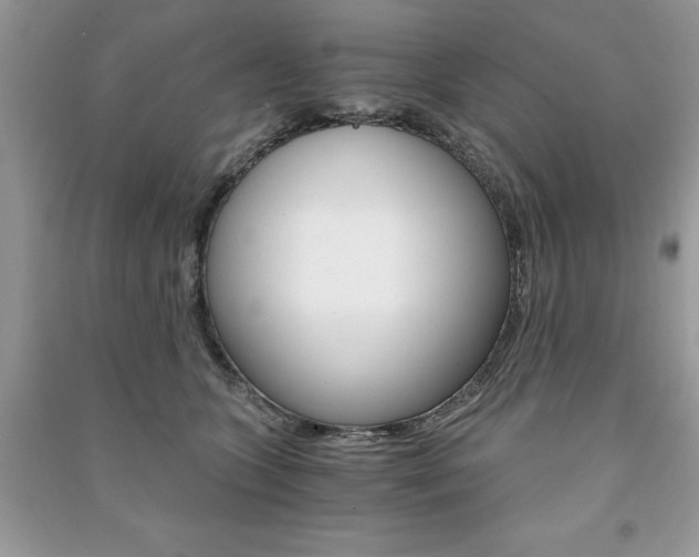 X0000091180563200708091048