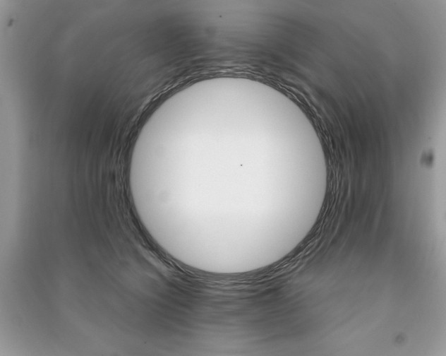 X0000091180564200708091048