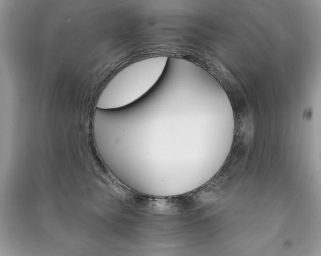 X0000091180565200708091048