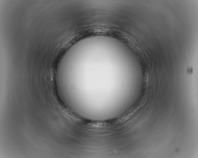 X0000091180567200708091048