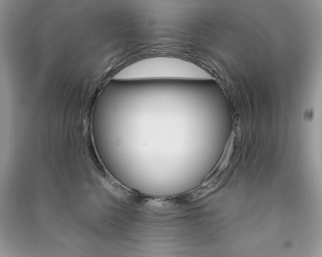 X0000091180568200708091048