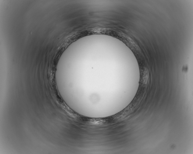 X0000091180569200708091048
