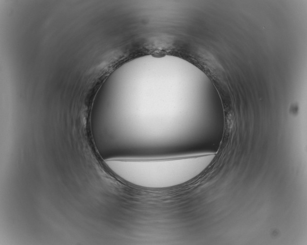 X0000091180570200708091048