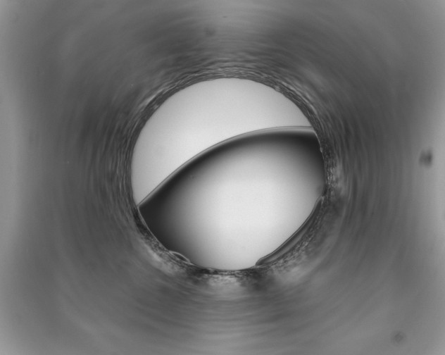 X0000091180572200708091048