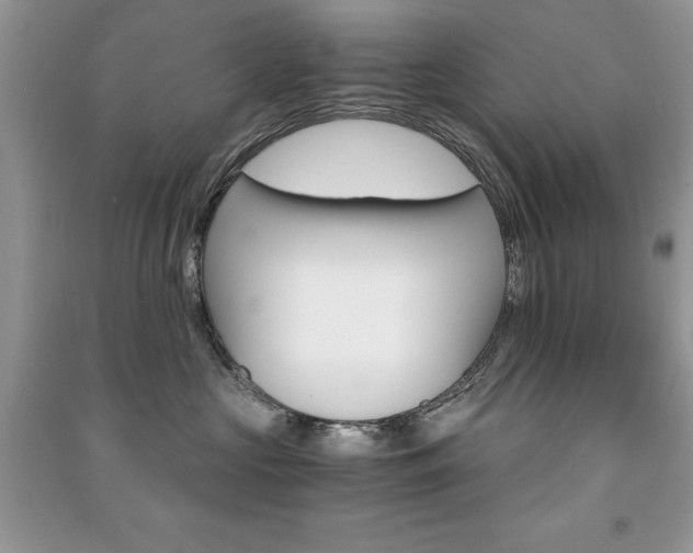 X0000091180573200708091048
