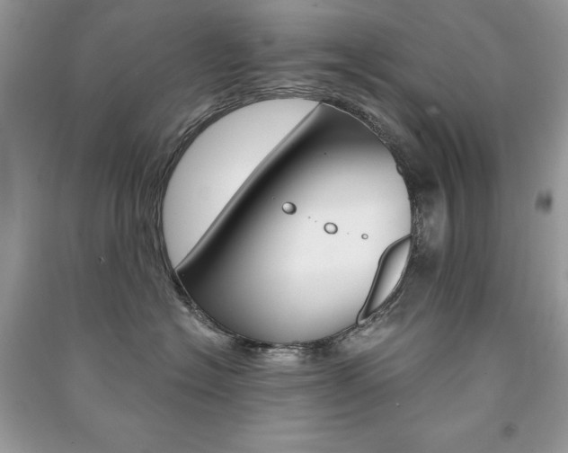 X0000091180574200708091048
